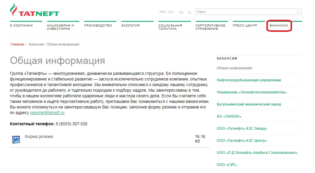 Резюме на работу образец татнефть